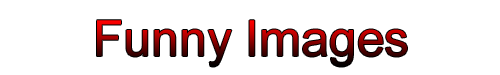 Funny IMages